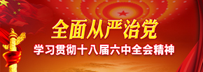 学习贯彻十八届六中全会精神